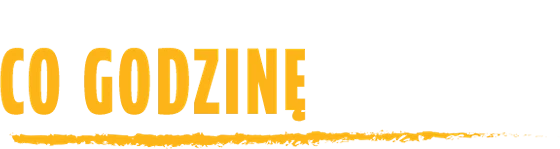co godzinę 50 zł