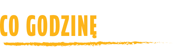 co godzinę 50 zł